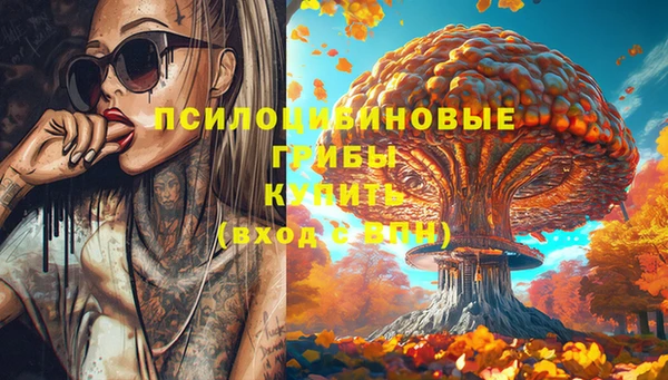 таблы Алзамай